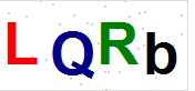 看不到验证码？点击重新换一个！