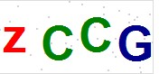 看不到验证码？点击重新换一个！