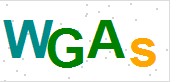 看不到验证码？点击重新换一个！