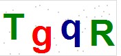 看不到验证码？点击重新换一个！